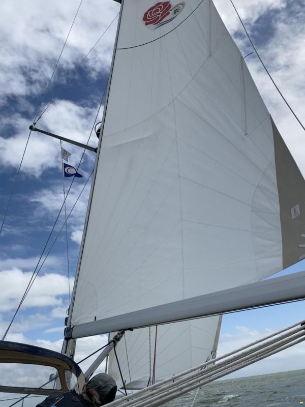 C-Yacht 1100