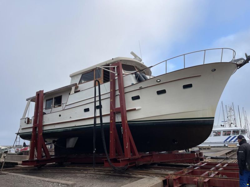 Blue ocean 50
