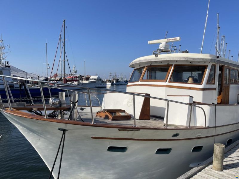 Blue ocean 50