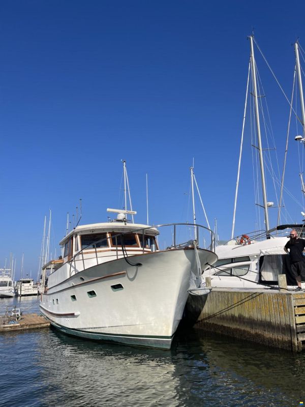 Blue ocean 50
