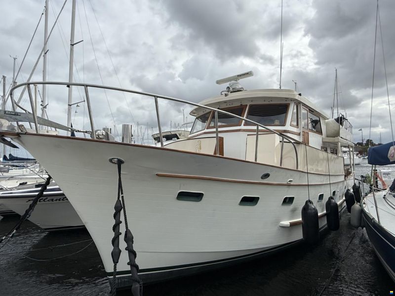 Blue ocean 50