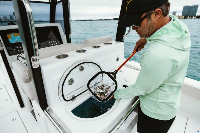 AQUILA 28