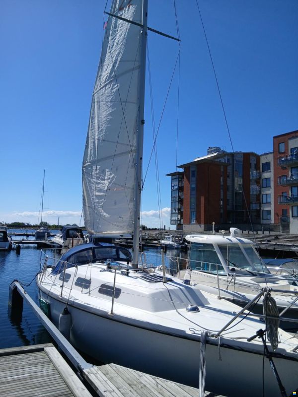 Johnsson 26
