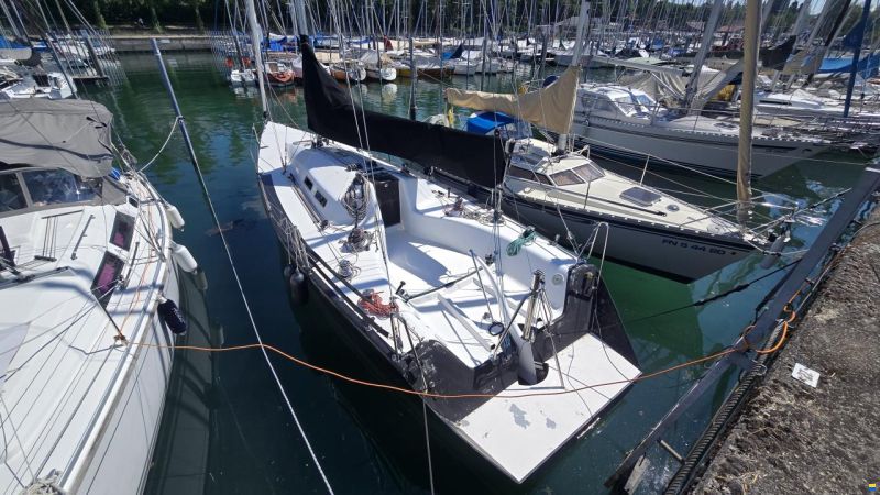Rommel 37 Race