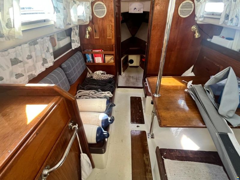 Shipman 28