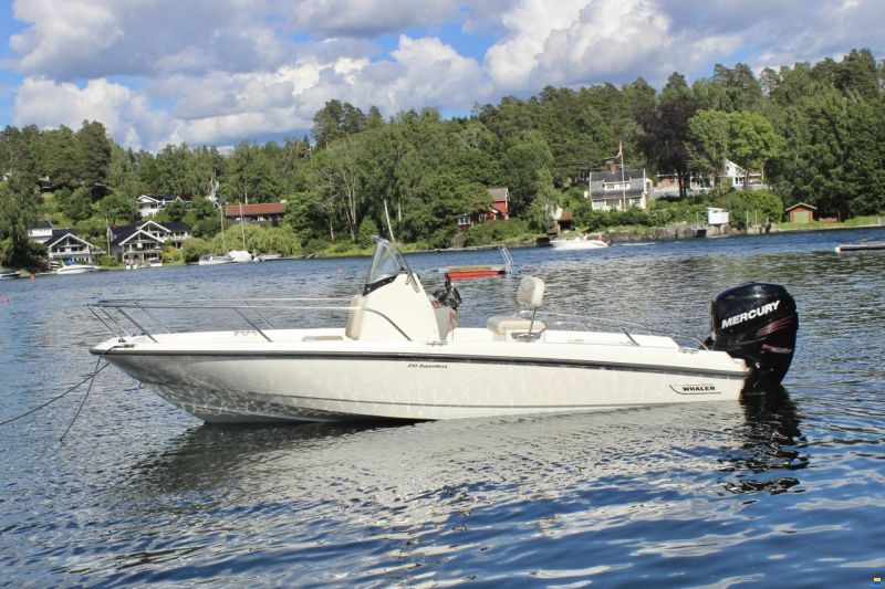 Boston Whaler 210 Dauntless