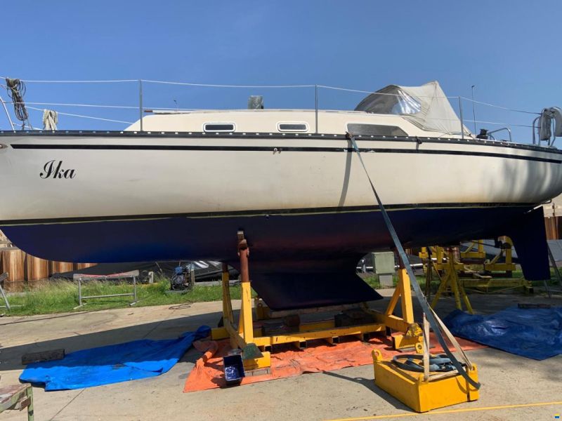 Hunter 30