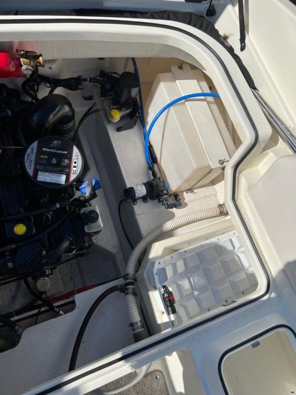 Bayliner 642 CUDDY