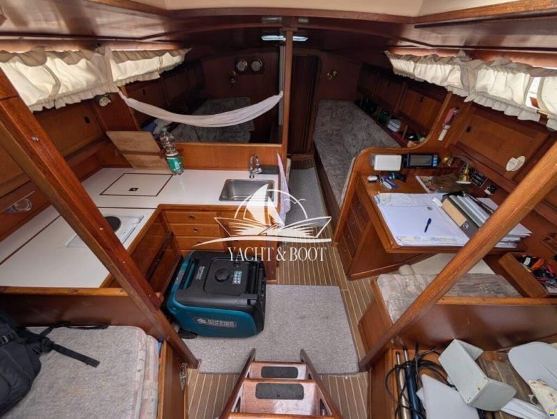 Concorde 38