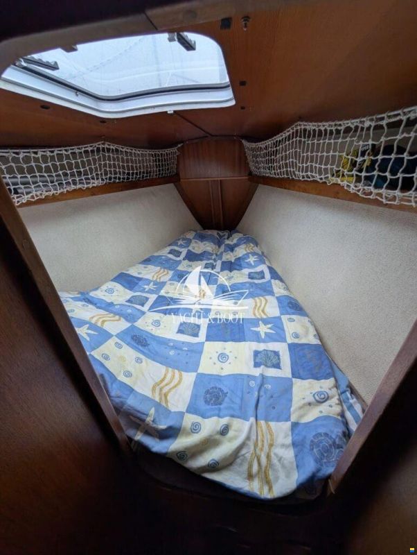 Concorde 38