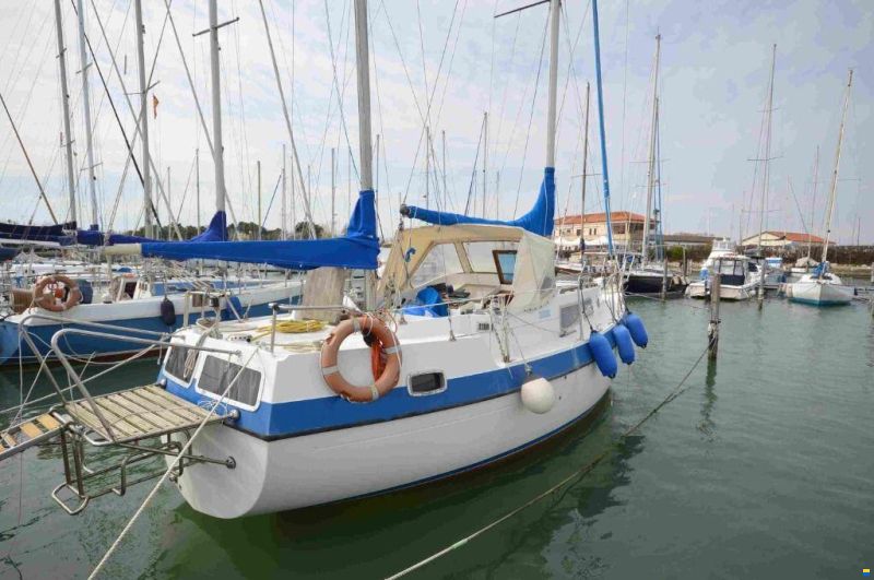 Lionello - Laverda COMPASS 31