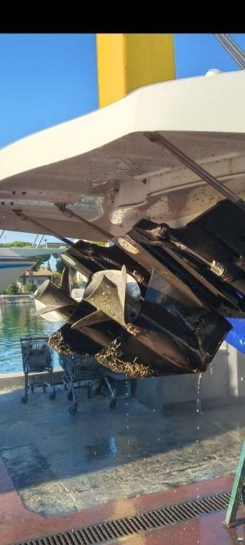 MARLIN BOAT MARLIN 29