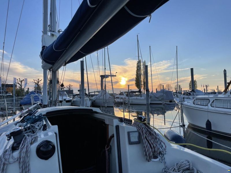 Dehler 32