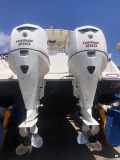 Evinrude E-tec 250