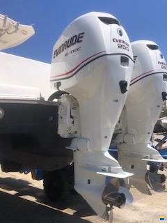 Evinrude E-tec 250