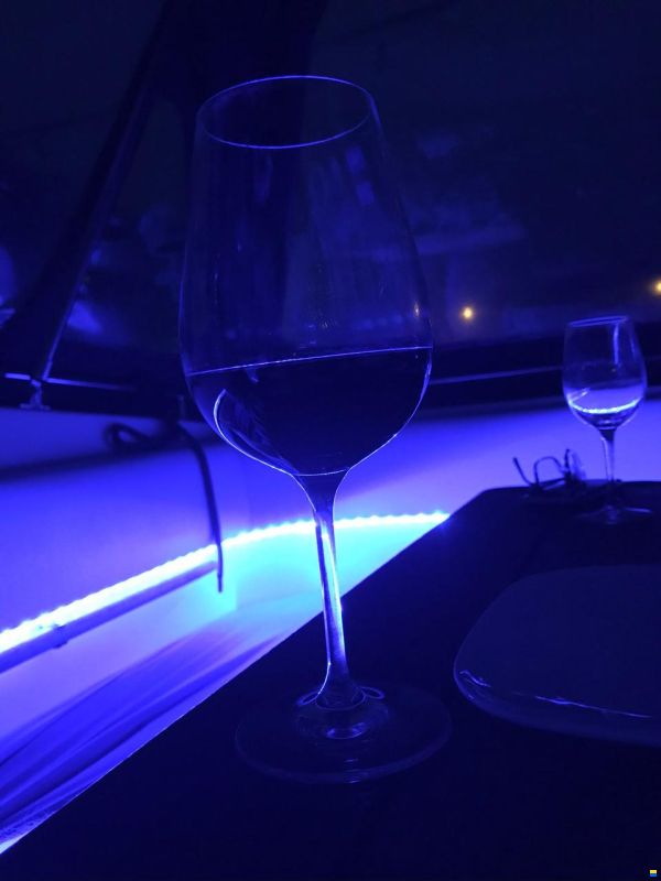 Sealine 328