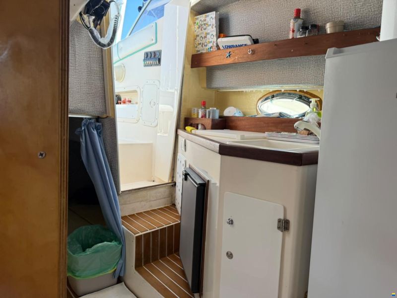 Saver ALBATROSS 260