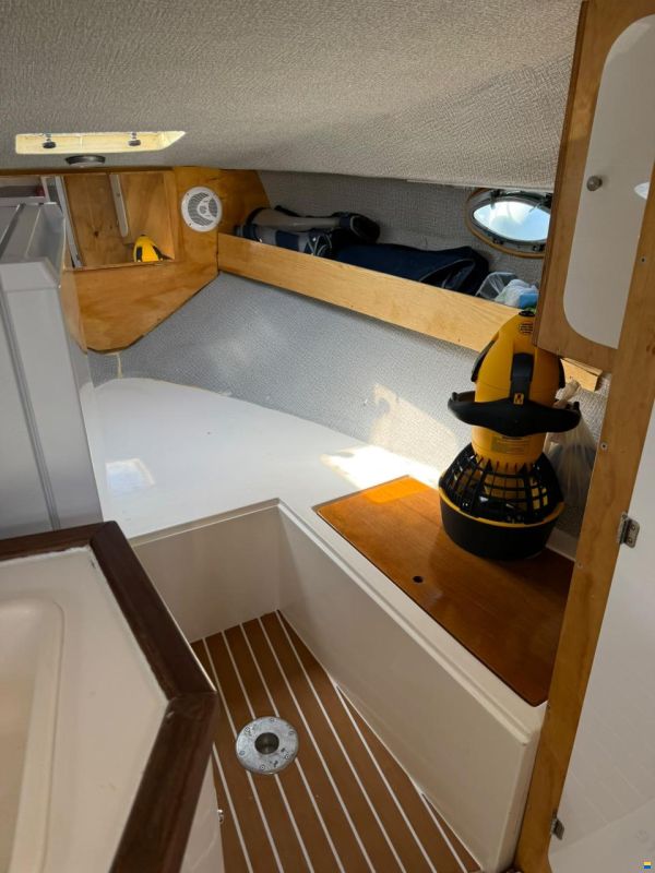 Saver ALBATROSS 260