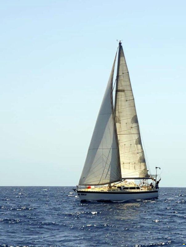 Sandmeier 43