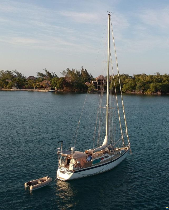 Sandmeier 43