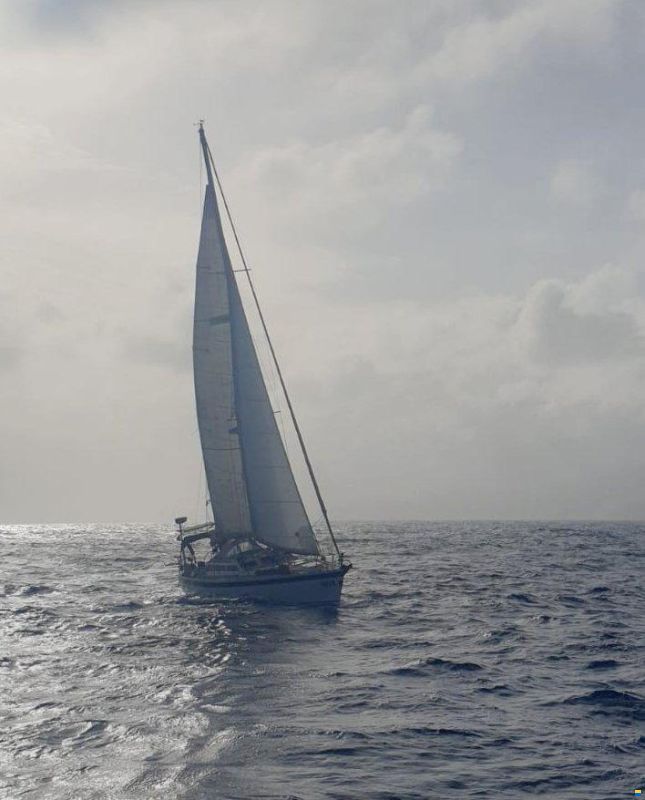 Sandmeier 43