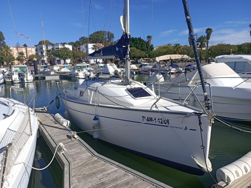Astraea 235 Sprinter