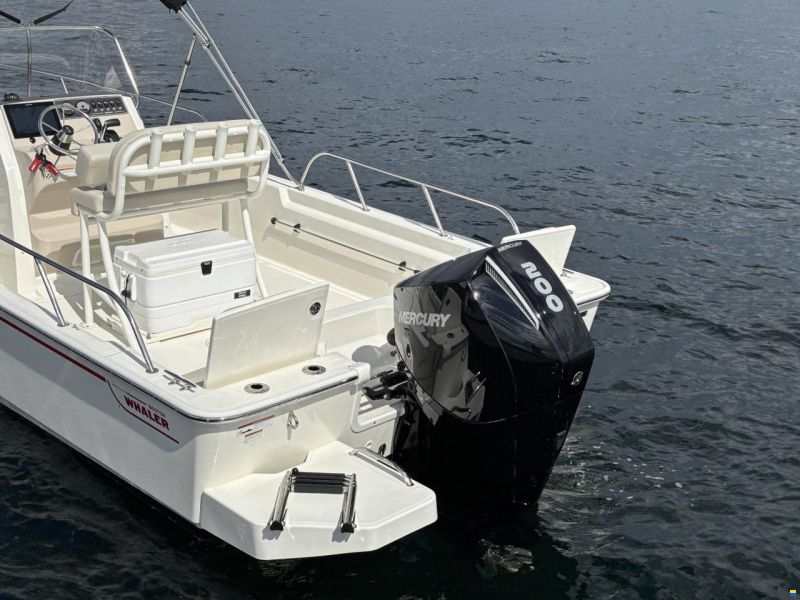 Boston Whaler 210 Montauk