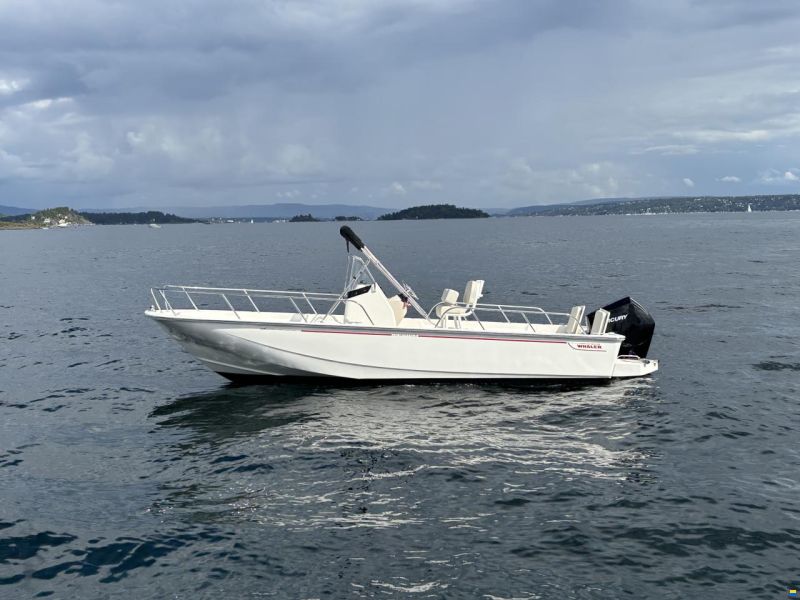 Boston Whaler 210 Montauk