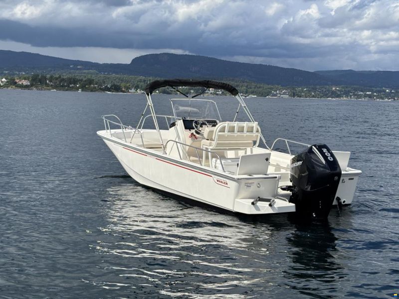 Boston Whaler 210 Montauk