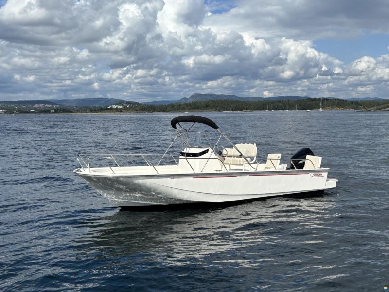 Boston Whaler 210 Montauk