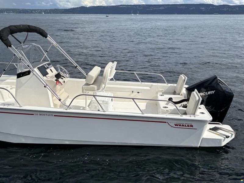 Boston Whaler 210 Montauk