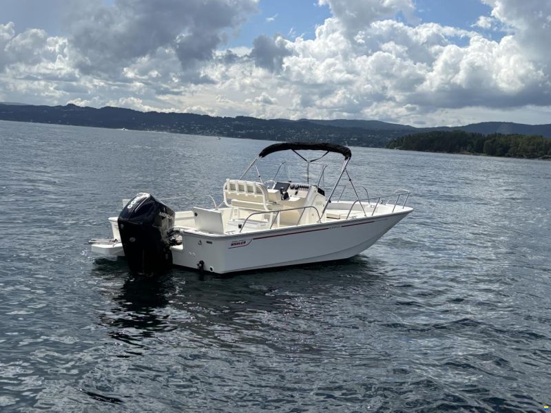 Boston Whaler 210 Montauk