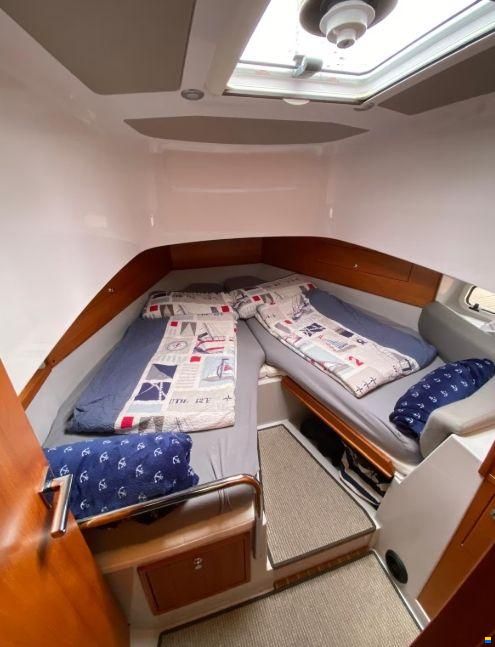 Sargo 33 Offshore