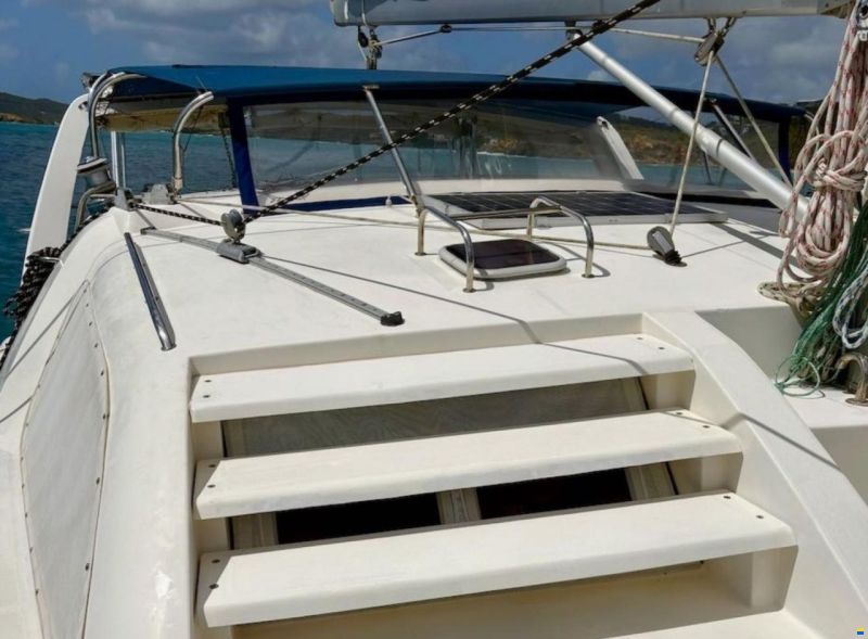 Leopard 38