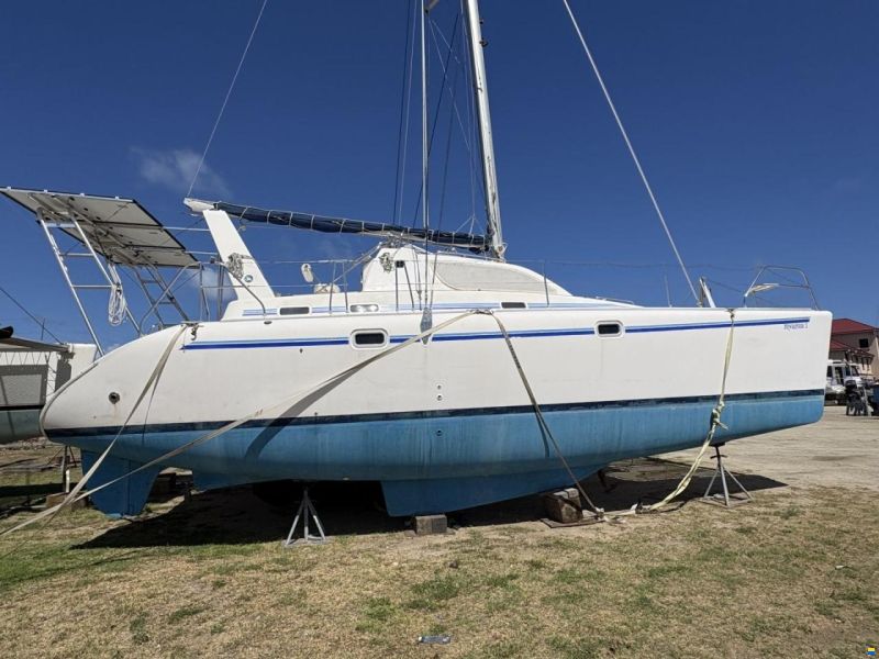 Leopard 38