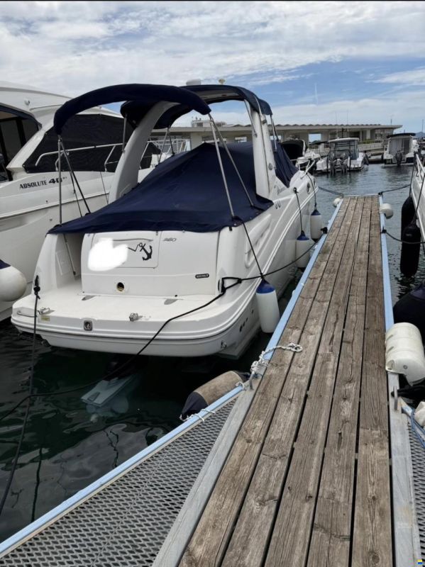 Sea Ray 260