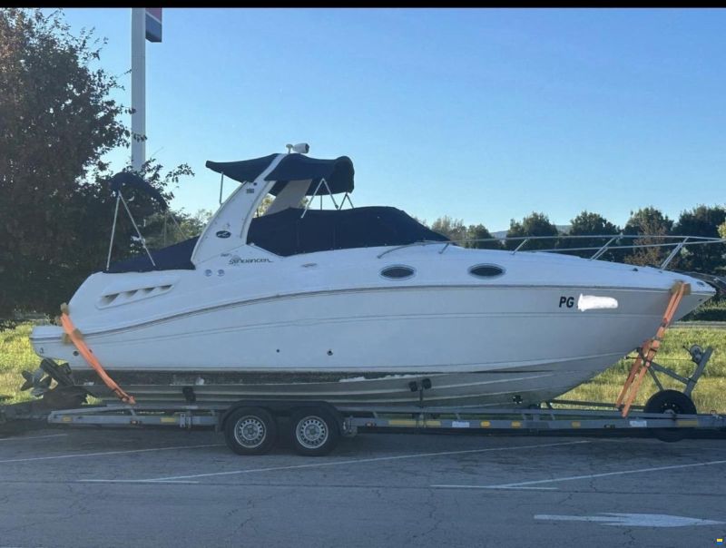 Sea Ray 260