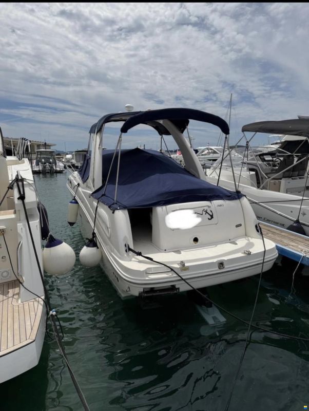 Sea Ray 260