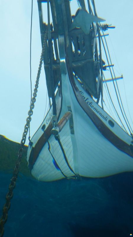 Tachou Ta Chaio Ct 54
