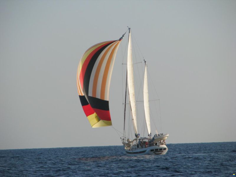 Tachou Ta Chaio Ct 54