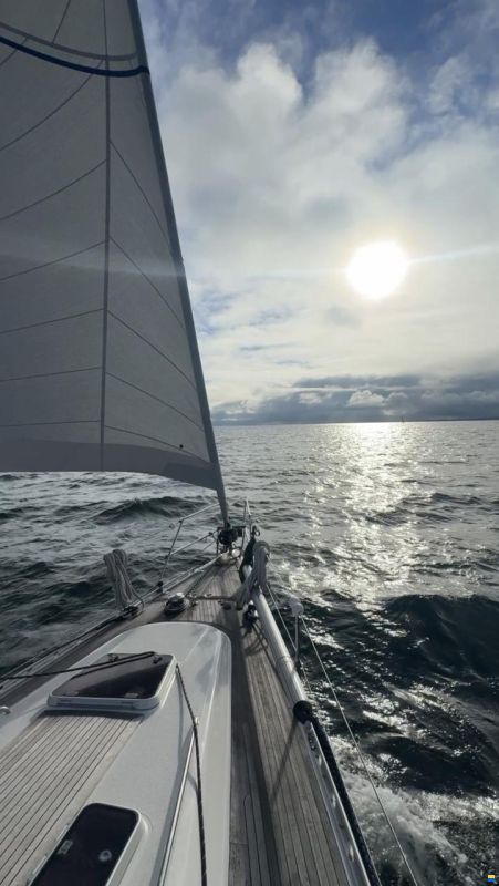 Finngulf 44