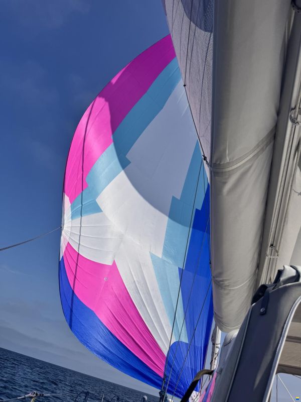 Finngulf 44