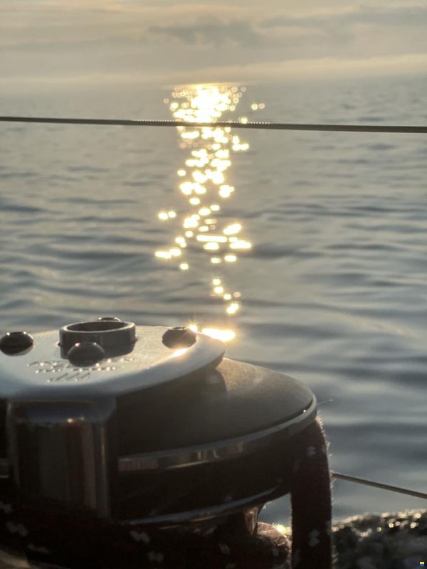 Finngulf 44