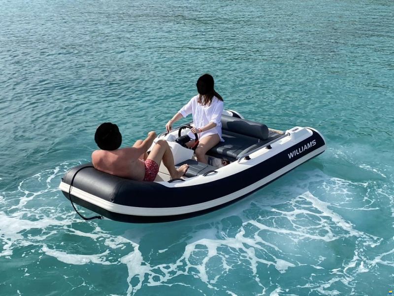 Williams Sportjet 345