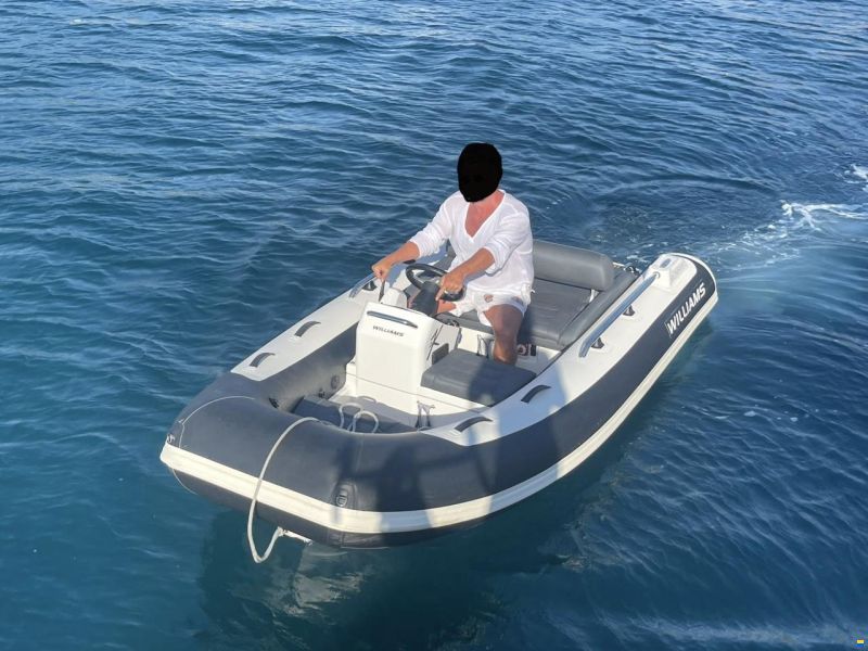 Williams Sportjet 345