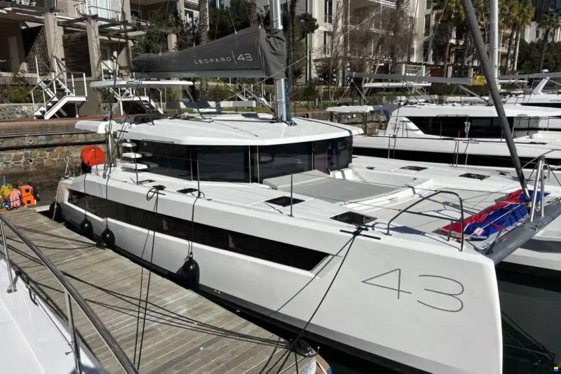 Leopard 43
