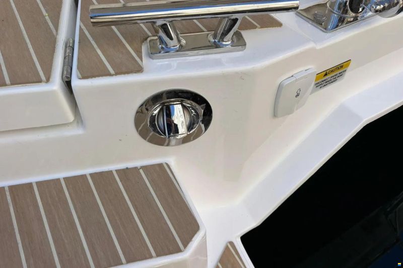 Leopard 43