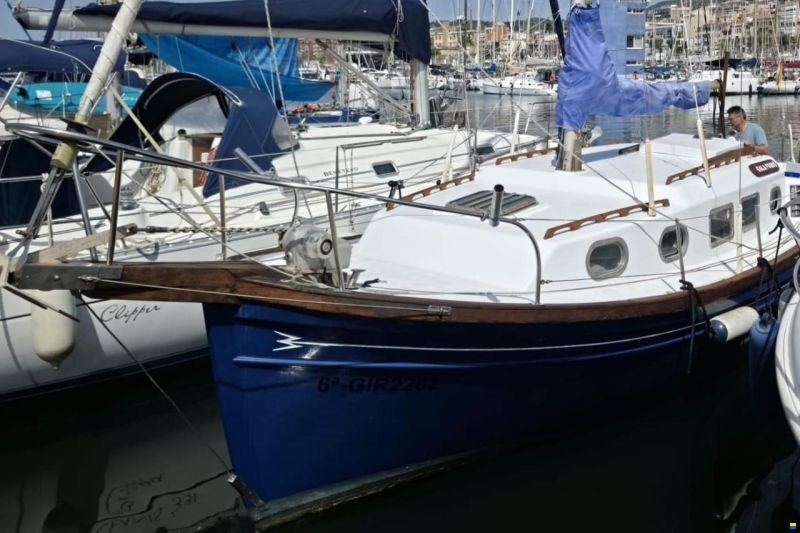 Myabca Delfin 31