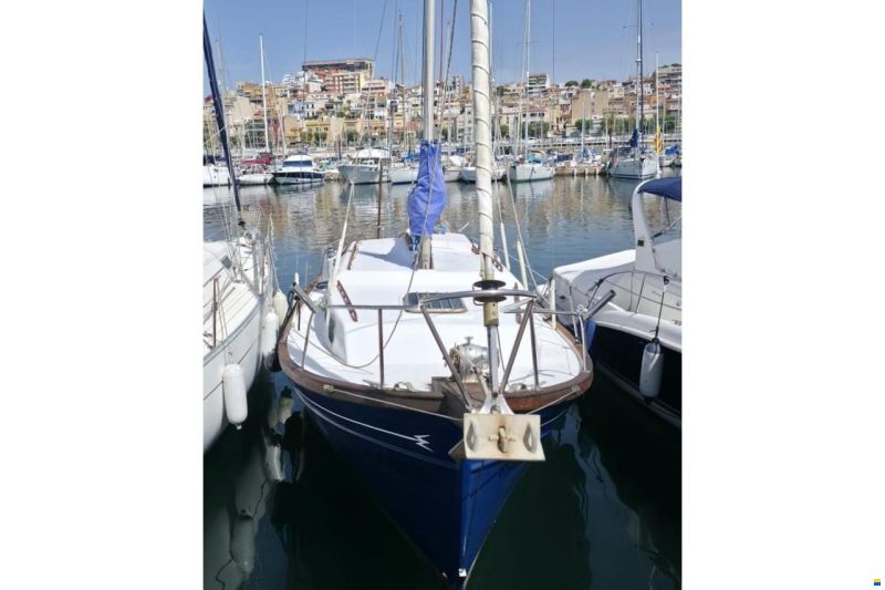 Myabca Delfin 31