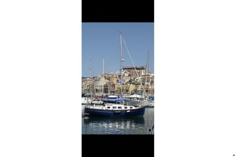 Myabca Delfin 31